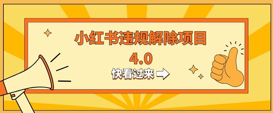 小红书违规掘金蓝海项目，日入800+（附带引流办法及解除办法）-点子口袋网