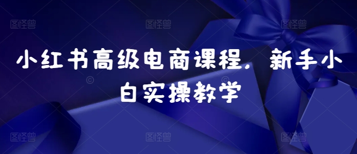 小红书高级电商课程，新手小白实操教学-点子口袋网