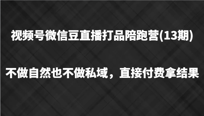 视频号微信豆直播打品陪跑(13期)，不做不自然流不做私域，直接付费拿结果-点子口袋网