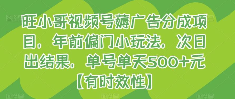 旺小哥视频号薅广告分成项目，年前偏门小玩法，次日出结果，单号单天500+元【有时效性】-点子口袋网