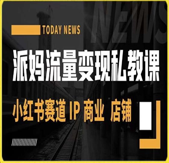 派妈流量变现私教课，小红书赛道IP  商业  店铺 -点子口袋网