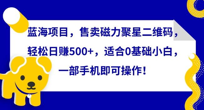 蓝海项目，售卖磁力聚星二维码，轻松日赚500+，适合0基础小白，一部手机即可操作【揭秘】-点子口袋网