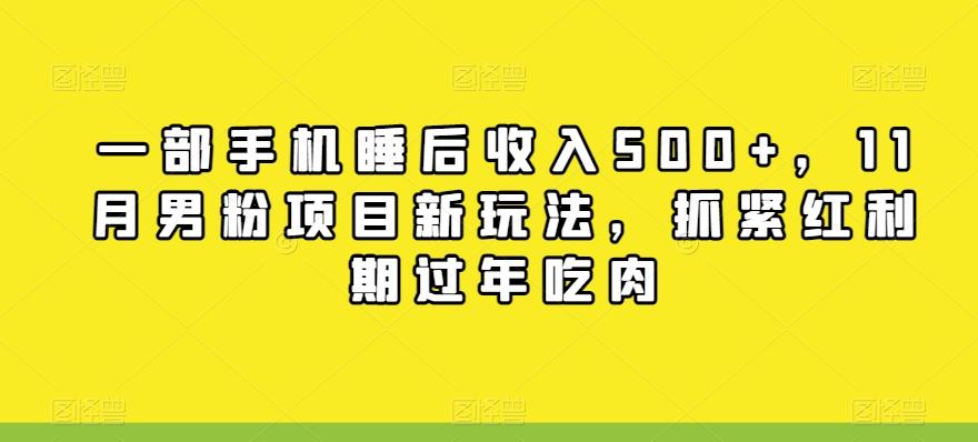 一部手机睡后收入500+，11月男粉项目新玩法，抓紧红利期过年吃肉-点子口袋网