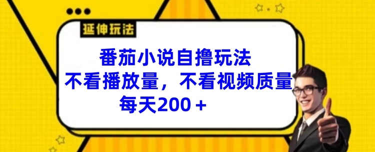 番茄小说自撸玩法，不看播放量，不看视频质量，每天200+【揭秘】-点子口袋网