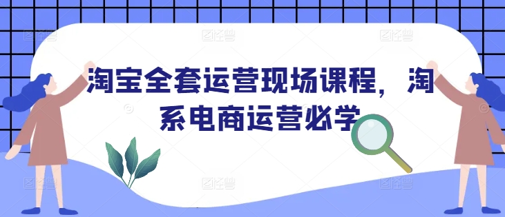 淘宝全套运营现场课程，淘系电商运营必学-点子口袋网