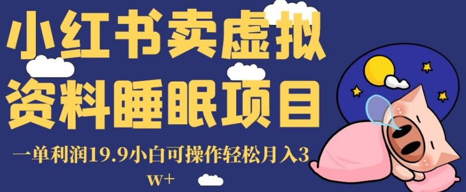小红书卖虚拟资料睡眠项目，一单利润19.9小白可操作轻松月入3w+【揭秘】-点子口袋网
