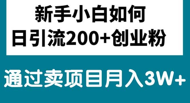新手小白日引流200+创业粉,通过卖项目月入3W+-点子口袋网