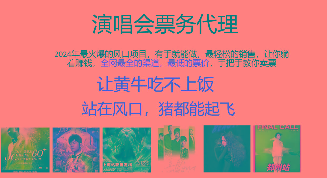 2024年最火爆风口项目，演唱会票务代理，日入2000+，一部手机就能搞定！-点子口袋网