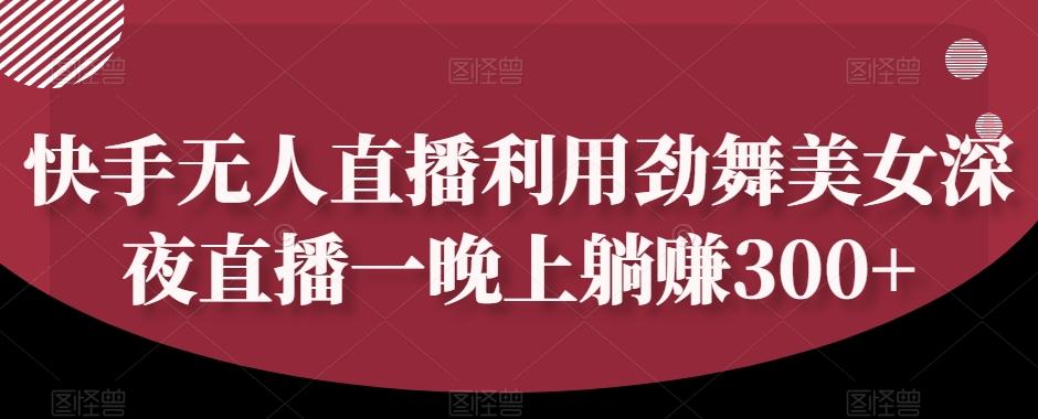 快手无人直播利用劲舞美女深夜直播一晚上躺赚300+-点子口袋网