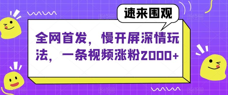 全网首发，慢开屏深情玩法，一条视频涨粉2000+【揭秘】-点子口袋网