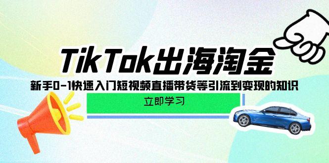 (10035期)TikTok-出海淘金，新手0-1快速入门短视频直播带货等引流到变现的知识-点子口袋网