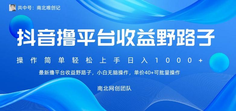 最新撸抖音平台收益野路子，操作简单，单价高，小白可无脑操作可日入1000+-点子口袋网