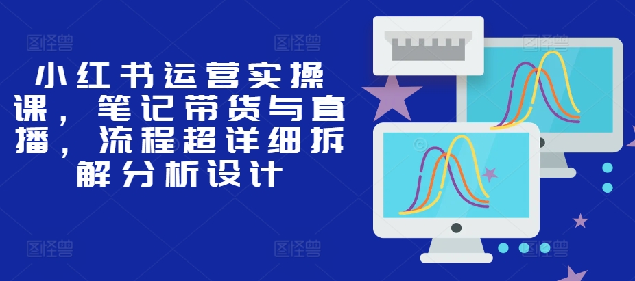 小红书运营实操课，笔记带货与直播，流程超详细拆解分析设计-点子口袋网