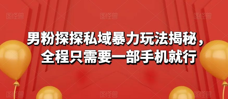 男粉探探私域暴力玩法揭秘，全程只需要一部手机就行-点子口袋网