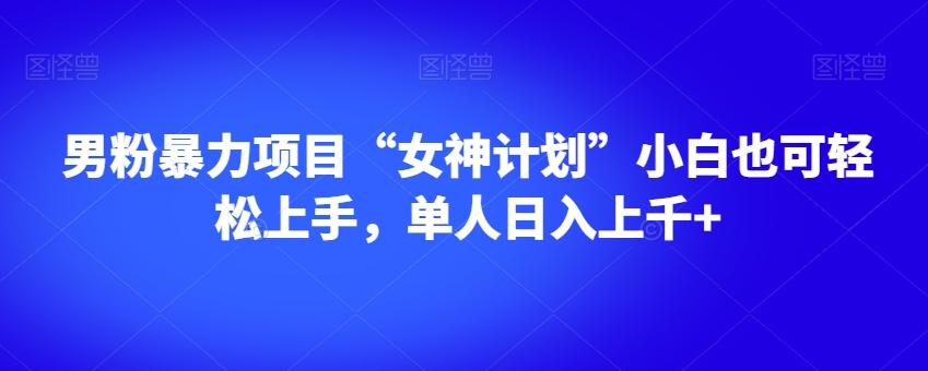 男粉暴力项目“女神计划”小白也可轻松上手，单人日入上千+【揭秘】-点子口袋网