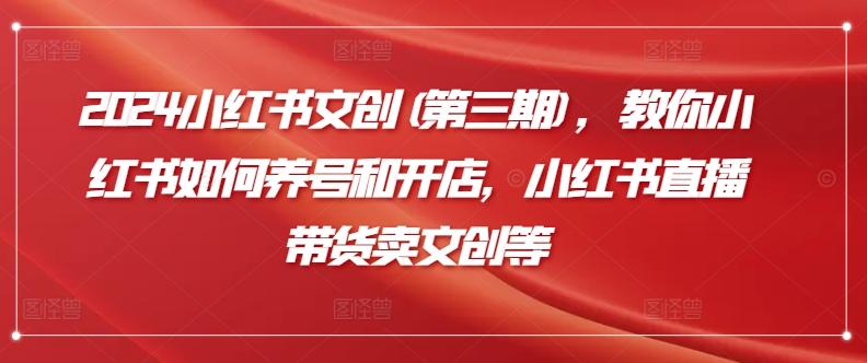 2024小红书文创(第三期)，教你小红书如何养号和开店，小红书直播带货卖文创等-点子口袋网