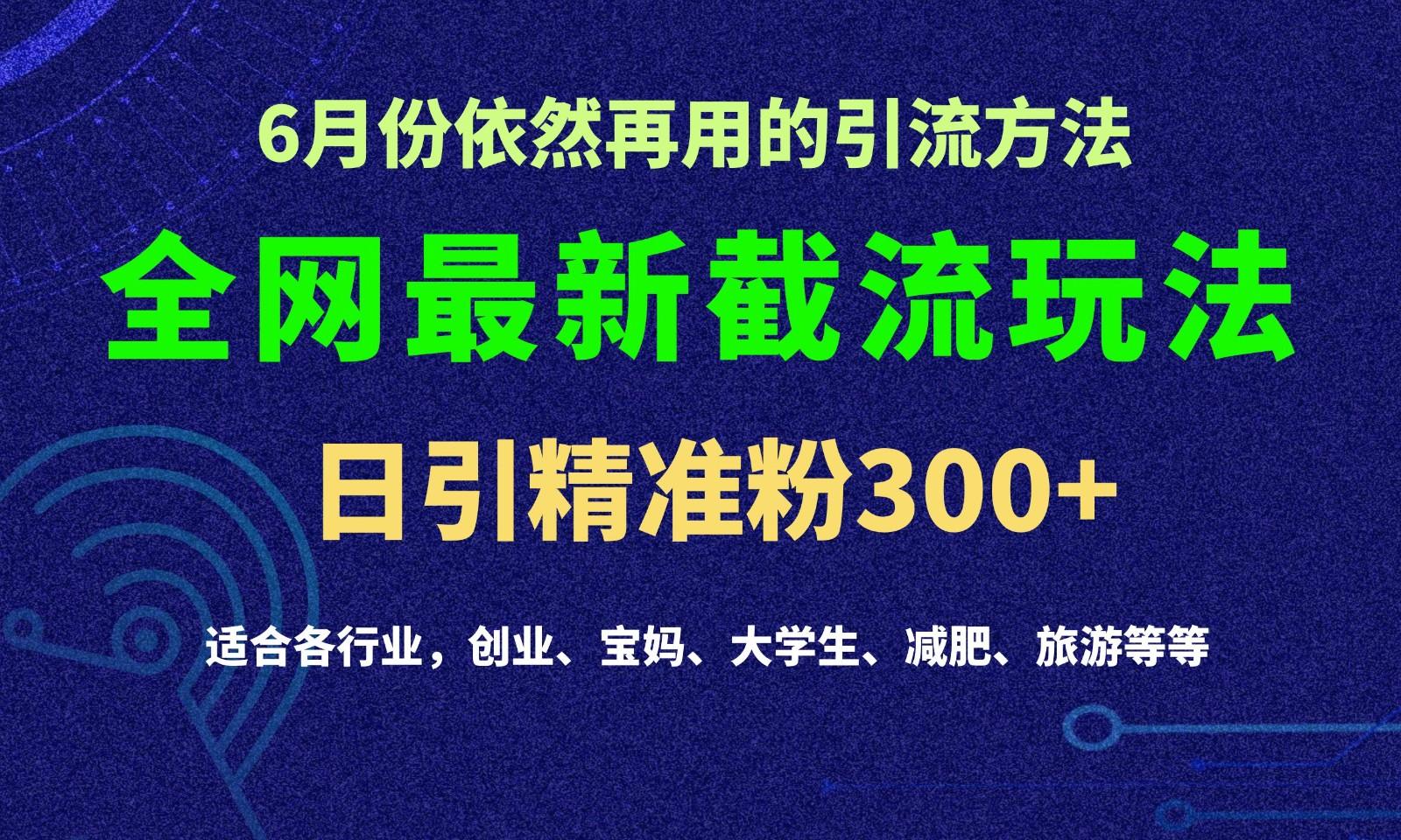2024全网最新截留玩法，每日引流突破300+-点子口袋网