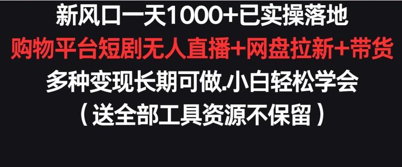 新风口一天1000+已实操落地购物平台短剧无人直播+网盘拉新+带货多种变现长期可做【揭秘】-点子口袋网