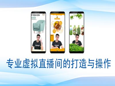 个人虚拟直播间的搭建与操作，专业虚拟直播间的打造与操作-点子口袋网
