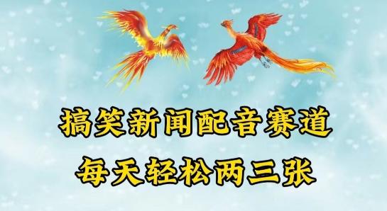 中视频爆火赛道一搞笑新闻配音赛道，每天轻松两三张【揭秘】-点子口袋网