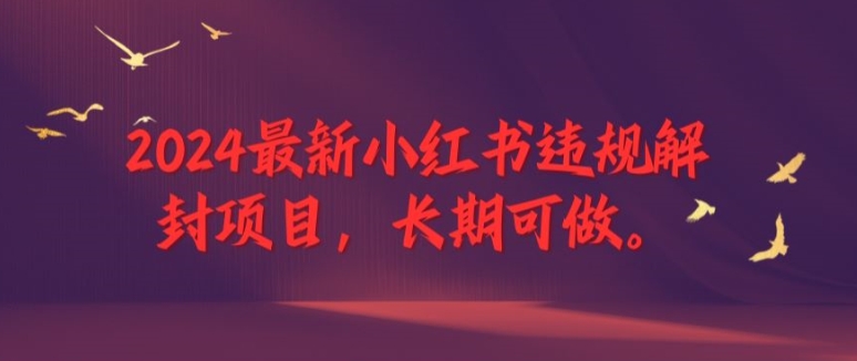 2024最新小红书违规解封项目，长期可做，一个可以做到退休的项目【揭秘】-点子口袋网