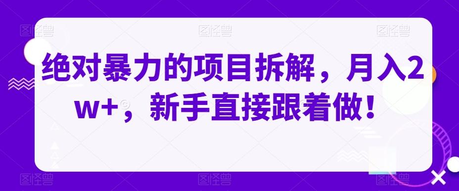 绝对暴力的项目拆解，月入2w+，新手直接跟着做！-点子口袋网