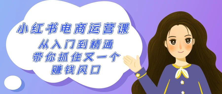 2024小红书-电商运营课，从入门到精通，带你抓住又一个赚钱风口(50节课)-点子口袋网