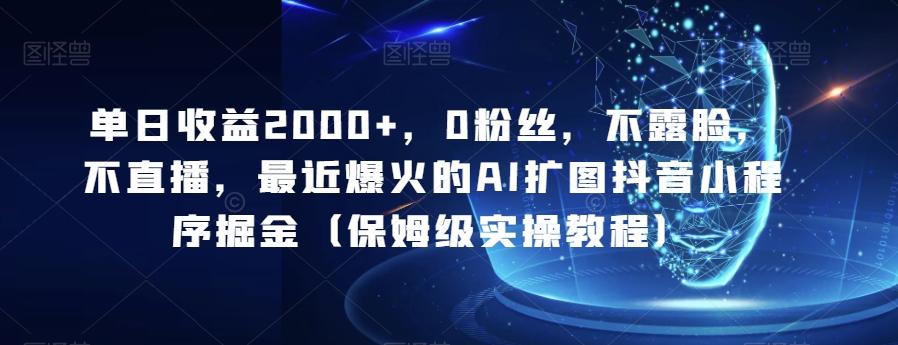 单日收益2000+，0粉丝，不露脸，不直播，最近爆火的AI扩图抖音小程序掘金（保姆级实操教程）-点子口袋网
