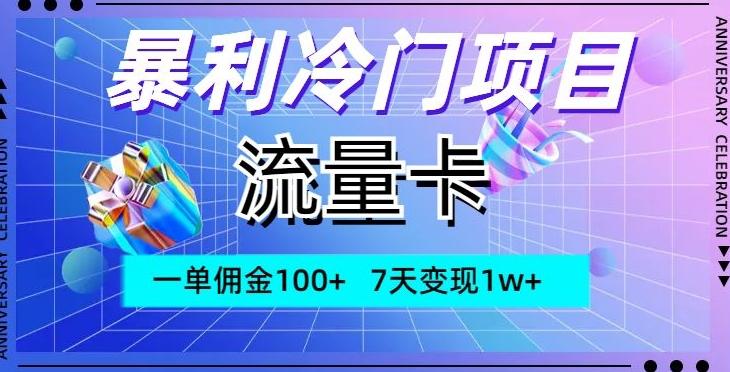 暴利冷门项目，流量卡，一单佣金100+，7天变现1w+-点子口袋网