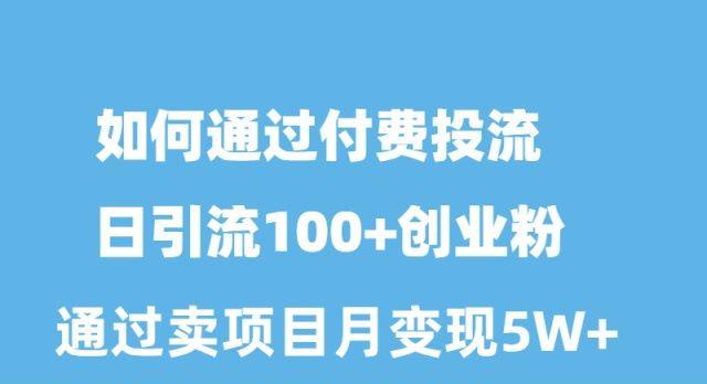 如何通过付费投流日引流100+创业粉月变现5W+-点子口袋网