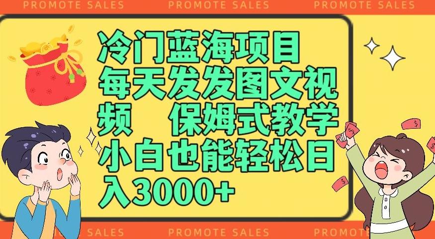 冷门蓝海项目，每天发发图文视频，保姆式教学，小白也能轻松日入3000+-点子口袋网