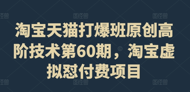 淘宝天猫打爆班原创高阶技术第60期，淘宝虚拟怼付费项目-点子口袋网