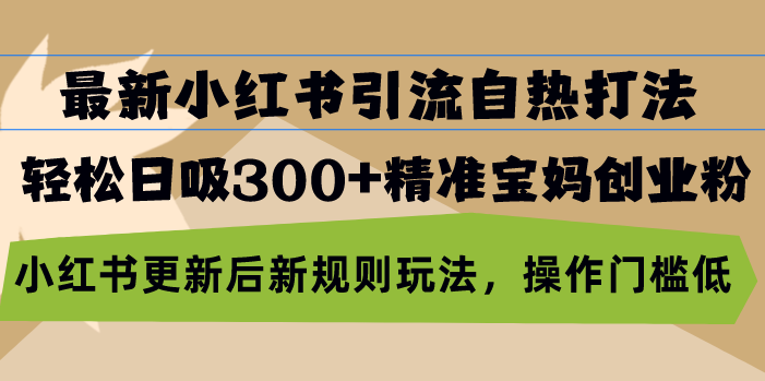 最新小红书引流自热打法，轻松日吸300+精准宝妈创业粉，小红书更新后新...-点子口袋网