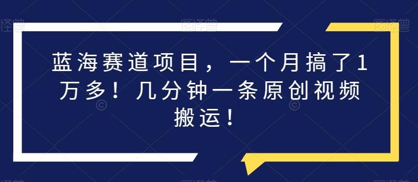 蓝海赛道项目，一个月搞了1万多！几分钟一条原创视频搬运！-点子口袋网