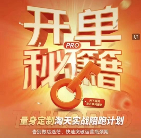 淘宝开单秘籍PRO，量身定制淘天实战陪跑计划，告别做店迷茫、快速突破运营瓶颈期-点子口袋网