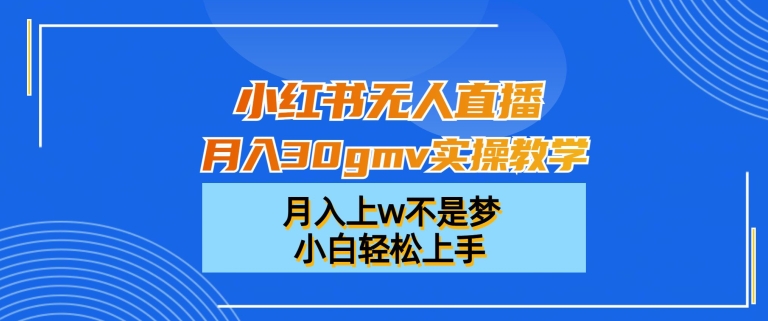 小红书无人直播月入30gmv实操教学，月入上w不是梦，小白轻松上手【揭秘】-点子口袋网