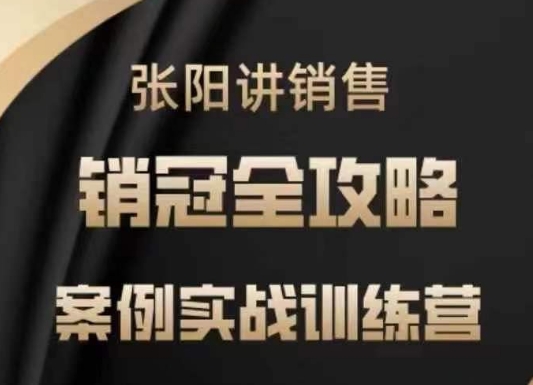张阳讲销售实战训练营，​案例实战训练，销冠全攻略-点子口袋网