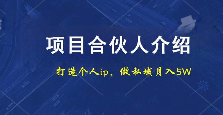 项目合伙人项目，打造个人IP，做私域月入5W，小白勿扰-点子口袋网