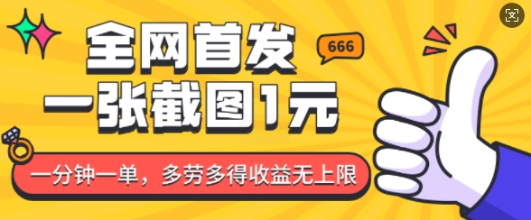 全网首发，一张截图1块钱，一分钟一单，多劳多得，收益无上限-点子口袋网
