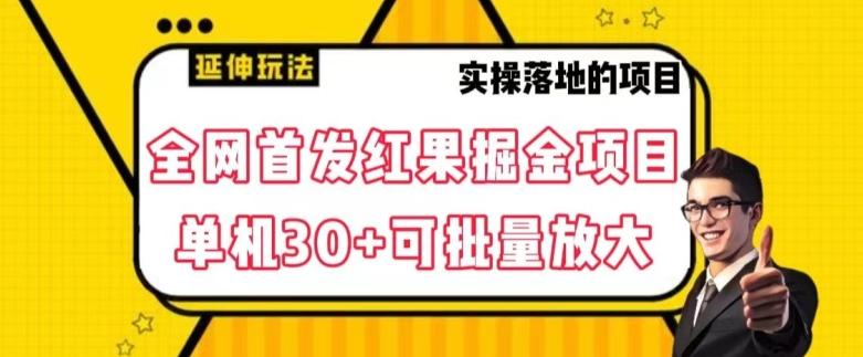 全网首发红果免费短剧掘金项目，单机30+可批量放大【揭秘】-点子口袋网
