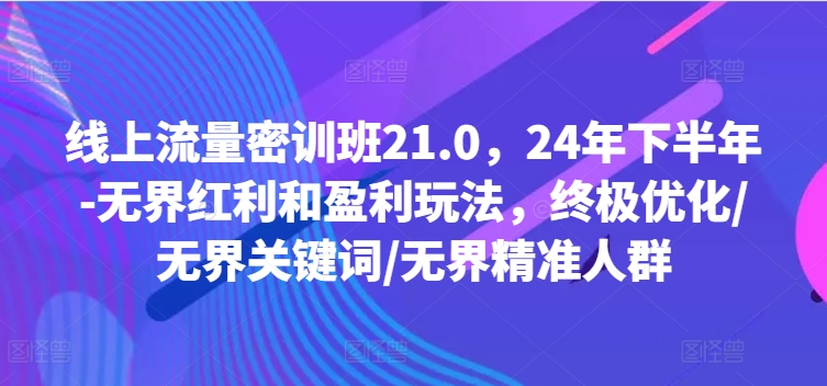 线上流量密训班21.0，24年下半年-无界红利和盈利玩法，终极优化/无界关键词/无界精准人群-点子口袋网