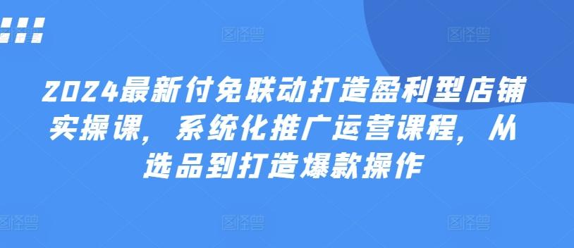 2024最新付免联动打造盈利型店铺实操课，​系统化推广运营课程，从选品到打造爆款操作-点子口袋网