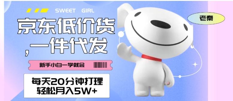 每天20分钟打理京东低价货，一件代发-轻松月入5W＋-点子口袋网