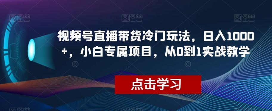 视频号直播带货冷门玩法，日入1000+，小白专属项目，从0到1实战教学【揭秘】-点子口袋网
