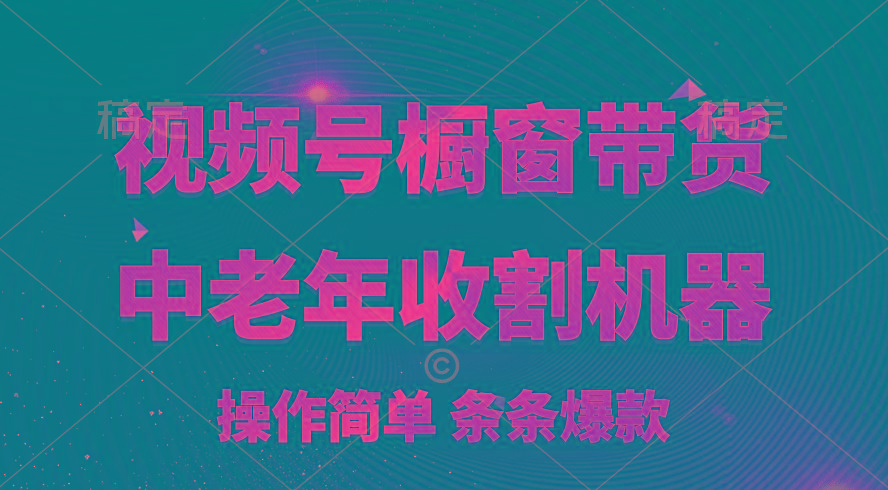 [你的孩子成功取得高位]视频号最火爆赛道，橱窗带货，流量分成计划，条...-点子口袋网