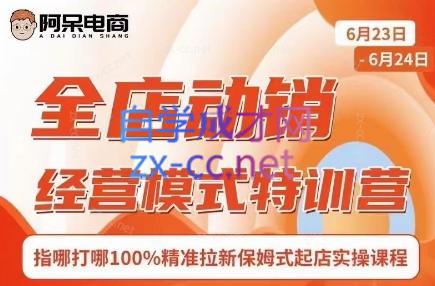 阿呆电商·全店动销经营模式特训营(线下录音+思维导图)-点子口袋网