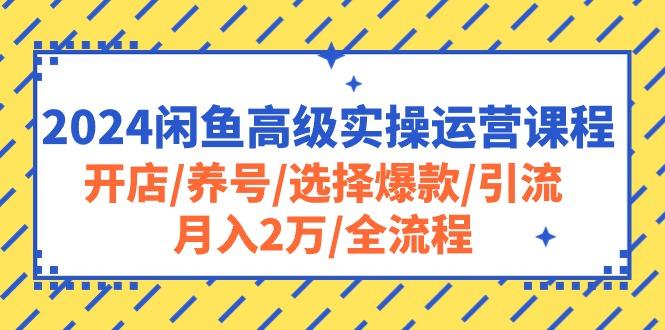 2024闲鱼高级实操运营课程：开店/养号/选择爆款/引流/月入2万/全流程-点子口袋网