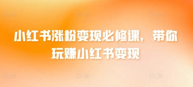 小红书涨粉变现必修课，带你玩赚小红书变现-点子口袋网
