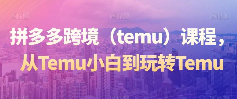 拼多多跨境（temu）课程，从Temu小白到玩转Temu-点子口袋网