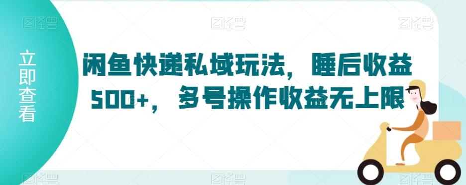 闲鱼快递私域玩法，睡后收益500+，多号操作收益无上限【揭秘】-点子口袋网